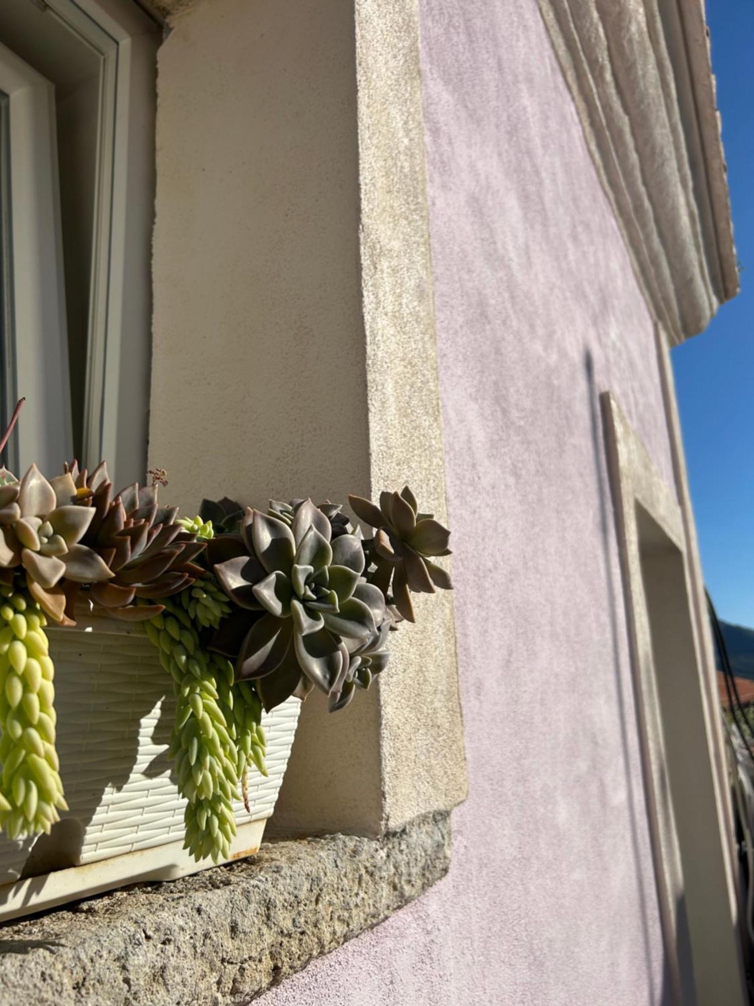 B&B Casa Camilory San Lucido Eksteriør billede